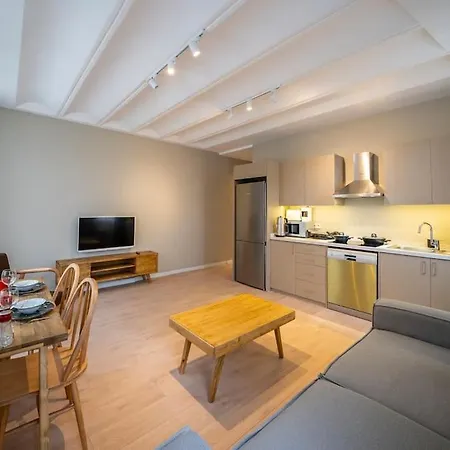 Lejlighed Historic 2 Bedroom Galata Apt-heart Of Kuledibi 5